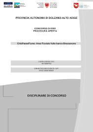 DISCIPLINARE DI CONCORSO