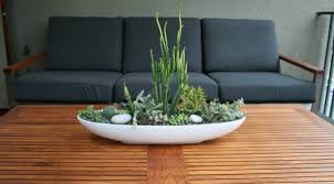 If you have a time frame, please contact me first to. 15 Best Indoor Succulent Planting Ideas That Can Beautify Your Home Balcony Garden Web