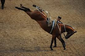 Its name comes from the black uniforms that are still in use today. Ouverture De La Saison Touristique 2019 Le Cadre Noir