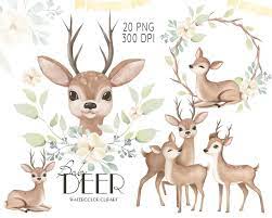 Watercolor Deer Baby Deer Clipart Watercolor Little Animals Cute Deer Baby Shower Clip Art Mother Deer Illustration Nursery Graphics Deer Illustration Watercolor Deer Animal Clipart