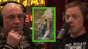 Northern Jaguar Reserve