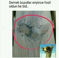 Capsler Komik Seyler Komik Capsler Komik Internet Fenomenleri