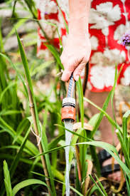 Richtig Giessen Im Sommer Mit 11 Tipps Zu Bewasserung Eures Gartens Garten Gartentipps Balkon Pflanzen