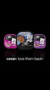 The Best Life Is Shared Share A Moment With Your Best Friend Homestyle Recipes Prepared Just For Them Video Cute Dogs And Puppies Dog Varieties Puppy Care