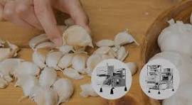 Garlic Sorting Machine - AI Garlic Color Sorter
