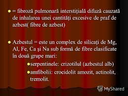 Prezentaciya Na Temu Silicoza Este O Pneumoconioză Prin Excelenţă Colagenă Cauzată De Inhalarea Indelungată A Pulberilor Cu Conţinut De Bioxid De Siliciu Cristalin Este O Skachat Besplatno I Bez Registracii