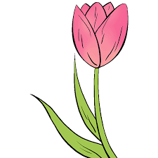 How To Draw A Tulip Really Easy Drawing Tutorial Drawing Tutorial Easy Flower Drawing Tutorials Drawing Tutorial