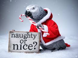 Well.. 3 band-aids this year so far