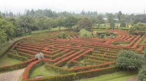 Taman bunga nusantara bogor akan selalu menyambut anda dengan semerbak harum bebungaan dan kemolekan tatanan tamannya yang kaya dan apik. Salah Satunya Taman Bunga Nusantara 7 Tempat Wisata Instagramable Di Bogor Untuk Liburan Akhir Pekan Tribun Kaltim