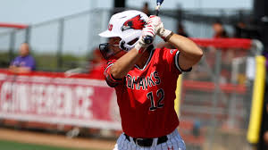 Image result for Sorindeia winkleri