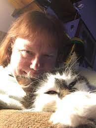 Why does my cat like to sleep