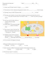 How does cellular respiration happen inside of the cell? Quiz Photosynthesis And Respiration