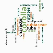 Image result for Ixora kalehensis