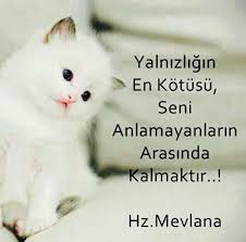 Pin By Selma Askan On Hz Mevlana Wise Quotes Words Sayings