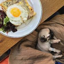 Joe's crab shack is a national restaurant chain with fantastic food and a casual, relaxed setting on the beach. 7 Top Dog Friendly Restaurants In Los Angeles The Dog People By Rover Com
