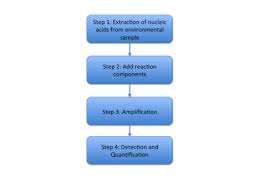 4 quantitative polymerase chain reaction