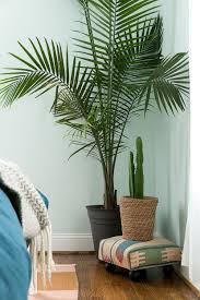Nice palm tree bedroom palm tree decor for bedroom tcowacom Master Bedroom Story With Behr Faux Plants Decor Bedroom Plants Decor Faux Plants