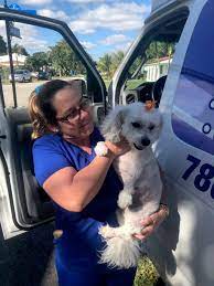 Mobile dog grooming prices will also vary based on the services you need, the area you live in, and your dog's temperament and breed. The 10 Best Mobile Dog Groomers In Miami Fl With Free Estimates