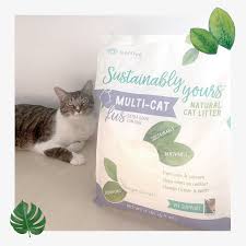Cat diet and sustainable litter boxes. Facebook