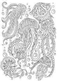 Coloring for adults is all the rage because the meditative qualities of coloring help reduce stress and anxiety. Jellyfish Coloring Pages 101 Coloring
