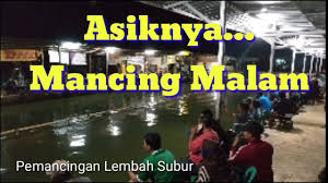 Lomba Mancing Asiknya Mancing Malam Youtube