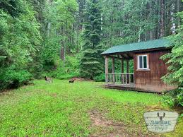 Maybe you would like to learn more about one of these? Best Camping Near Glacier National Park Swan Lake Trading Post Camp