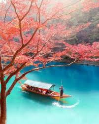 Sunny Day With Momiji In Arashiyama Kyoto Credit To Loic Lagarde 9gag Cool Places To Visit Beautiful Places To Travel Japan Travel