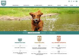 Though small and a simple structure. United Kennel Club Website Lkf Marketing