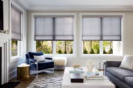 Modern Living Room Window Treatments - Blinds To Go