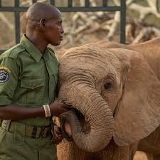 Meet the elephants of Reteti Elephant Sanctuary 🐘 At ...