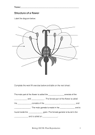 Name Structure Of A Flower Label The Diagram Biology Worksheet Fun Science Worksheets 4th Grade Science