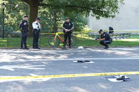 NYC bicyclist, 71, killed in collision with unleashed dog in Central Park