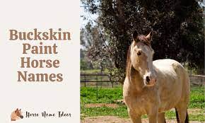 140 Buckskin Paint Horse Names