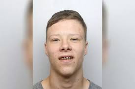 Teenage drug dealer with gold grin jailed for four years