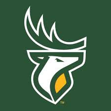 Foam antlers are set to turn out to be a part of the inexperienced and gold fan gown code, as edmonton's cfl group has adopted a brand new identify: Wrf18yhbhkwcpm