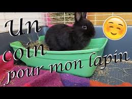 Meilleures Cages A Lapins 2021 Guide D Achat Et Comparatif