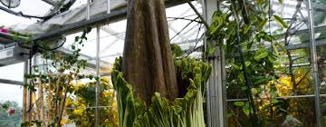 Maybe you would like to learn more about one of these? Earn That Green Thumb An Introduction To Working In A Greenhouse