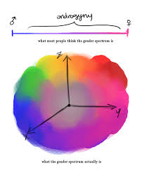 Queerfucker Tomboykitten Bahamutzero Gender A Visual Guide When Most People Think Of The Gender Spectrum They T Gender Spectrum Gender Gender Identity