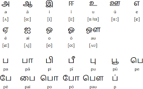 Wall charts, miniature charts in . Tamil Vowels And Vowel Diacritics Alphabet Charts Alphabet Writing Alphabet Writing Practice