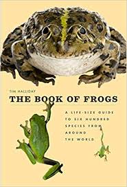The Book Of Frogs A Life Size Guide To Six Hundred Species