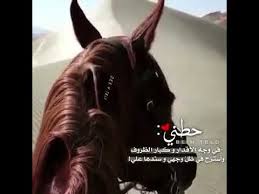 حالات واتس اب عن الخيل Youtube