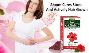 Buy Bio Organic Hibiscus Flower Powder For Hair Skin Hibiscus Diy Acne Treatment Henna Powder For Hair