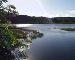 Imagem de Pantanal Alagoano, Alagoas