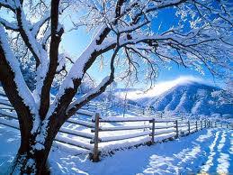 Por eso, creo que muchos esperamos que el nuevo año que empieza con la temporada de invierno 2020 mantenga la calidad y. El Invierno Misitiopoetico