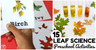 Fall means colors in beautiful earth tones and lots of exploration with natural. 15 Simple Leaf Science Activities For Preschoolers Look We Re Learning