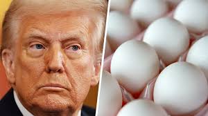 Tariffs will cause ‘massive shock’ to U.S. cost of living and will reshape  global trade: Expert