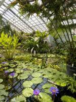 Offizieller facebookauftritt des botanischen garten der friedrich schiller universität jena Botanischer Garten Jena Friedrich Schiller Universitat Jena