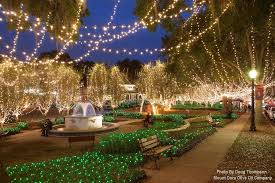 We did not find results for: Light Up Mount Dora Go Mount Dora