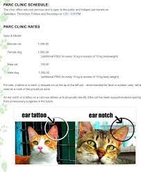 Maybe you would like to learn more about one of these? Neuter Fee Check Up Cost Cat Lovers Philippines Facebook