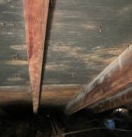 Like all mold, green mold is toxic and poses as a health risk to humans. Dangers Of Green Mold In Your Home